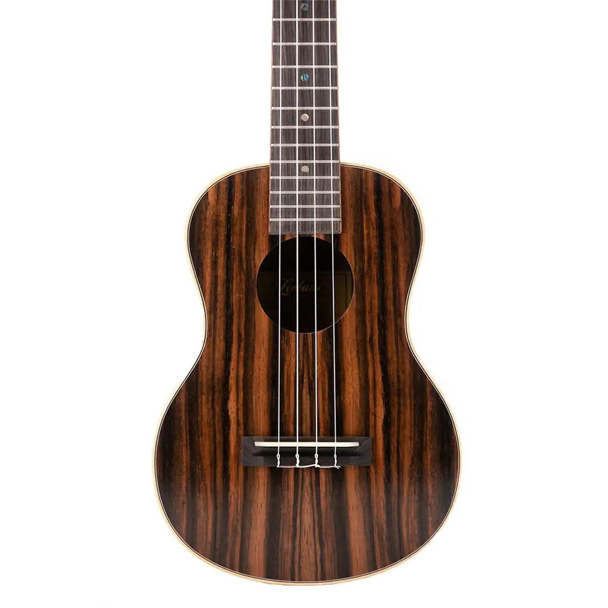 2_e816722e-a1df-4b32-bf70-896b0babdcfd | Terry Carter Music Store