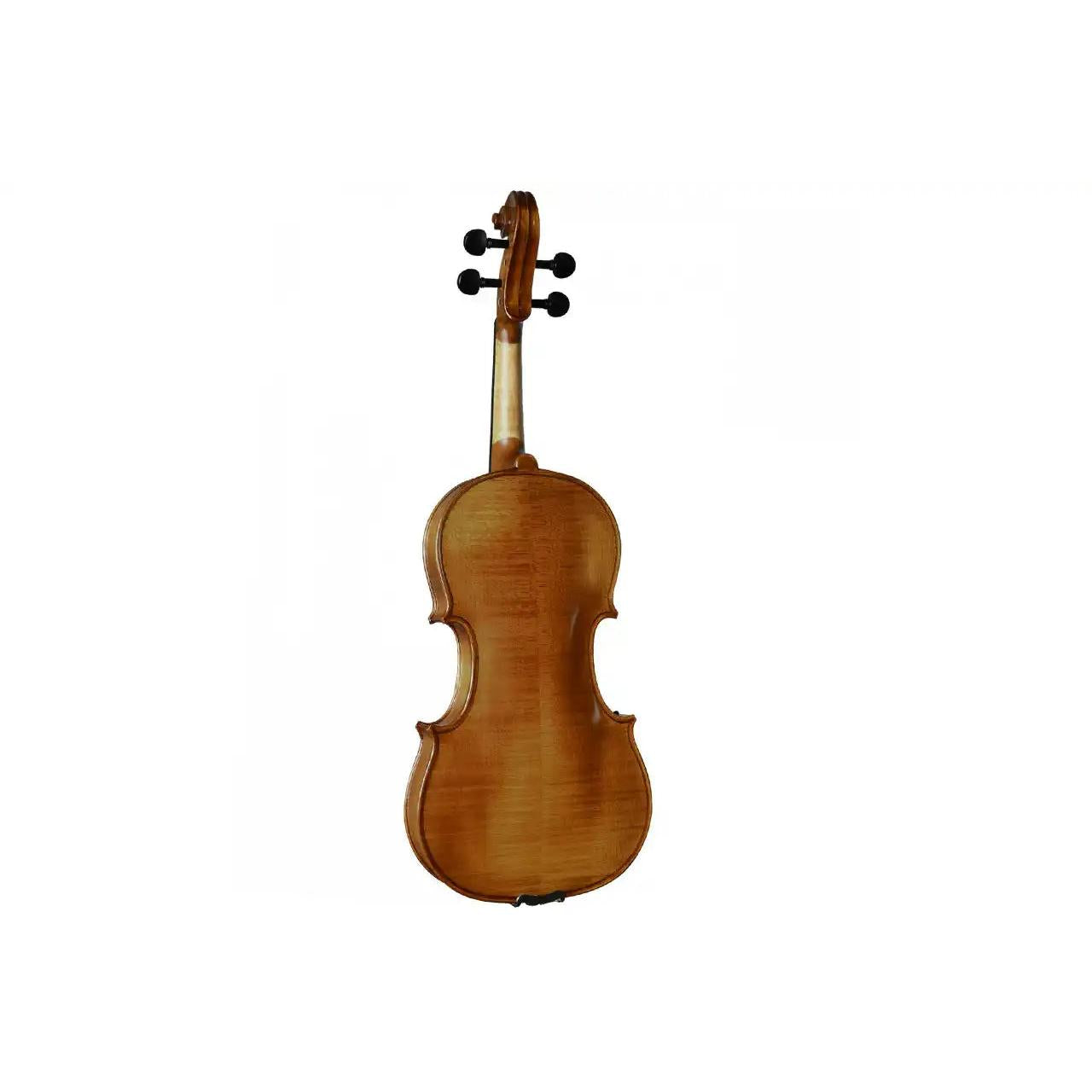 2_e911fc55-4980-4228-944a-5acb6c75832f | Terry Carter Music Store