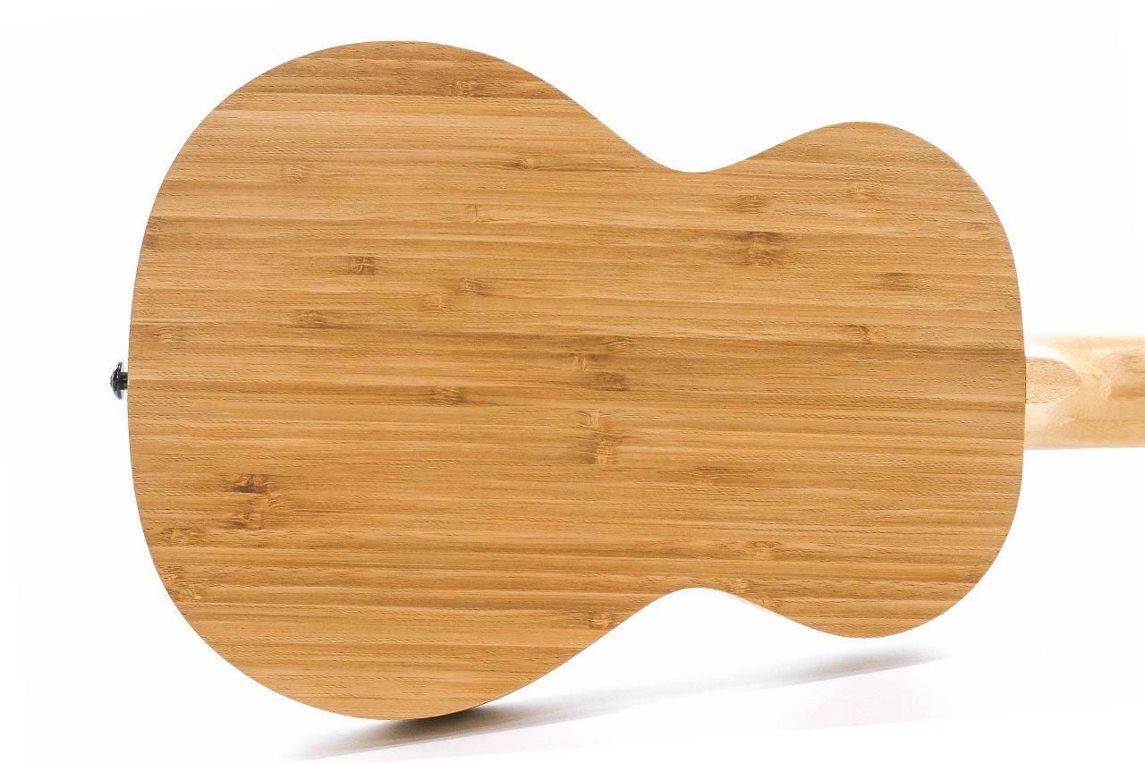 2_fd78c6f9-f56c-4cc0-9a69-6372c2f084bf | Terry Carter Music Store