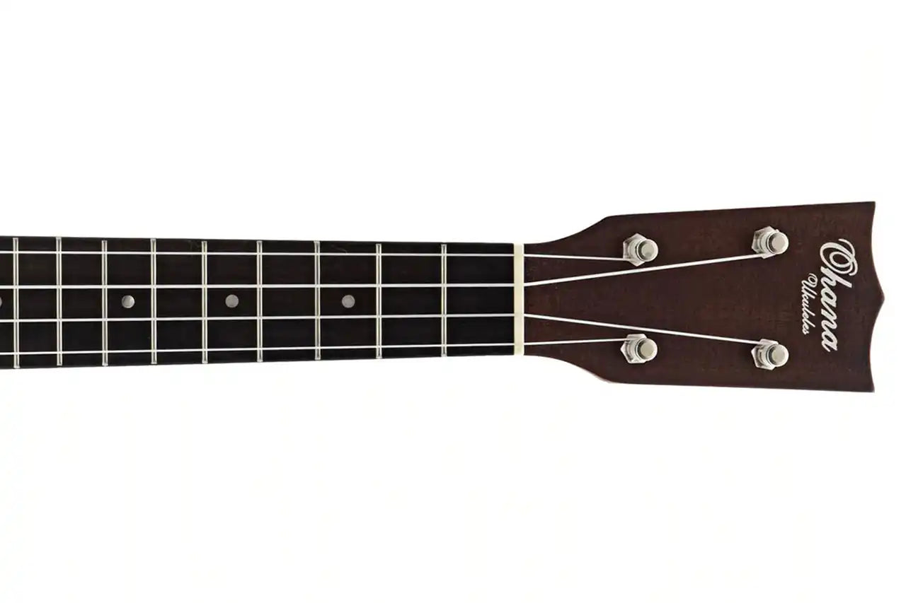 3_0d56fcf7-a26f-42ae-a368-7db08f721078 | Terry Carter Music Store