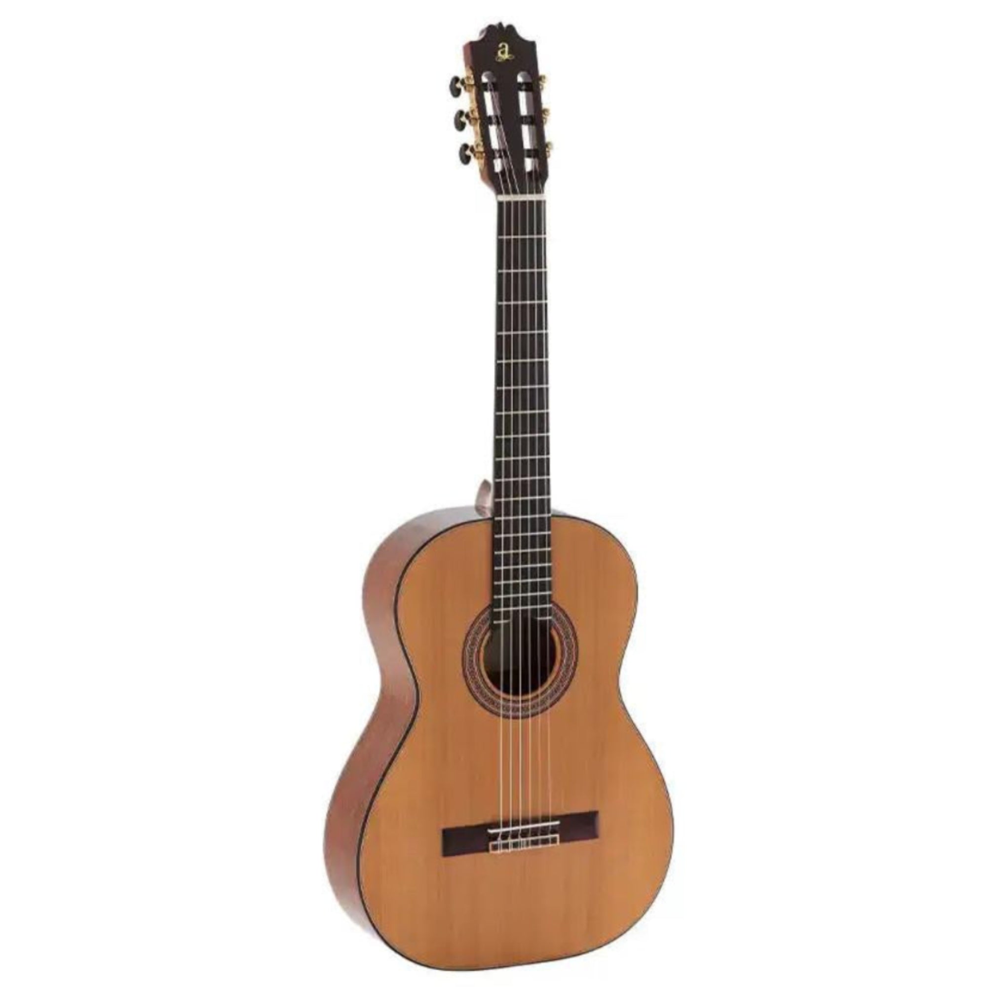 3_0e6508db-b96f-4587-81ef-3620f37e7cee | Terry Carter Music Store