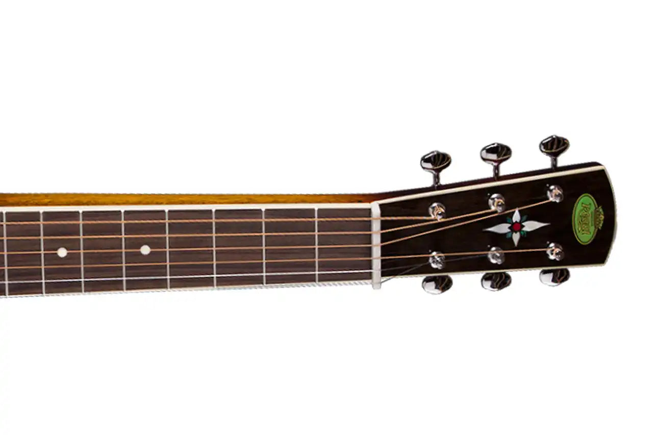 3_11a4c139-ea21-48c0-86fb-940a4efafb84 | Terry Carter Music Store