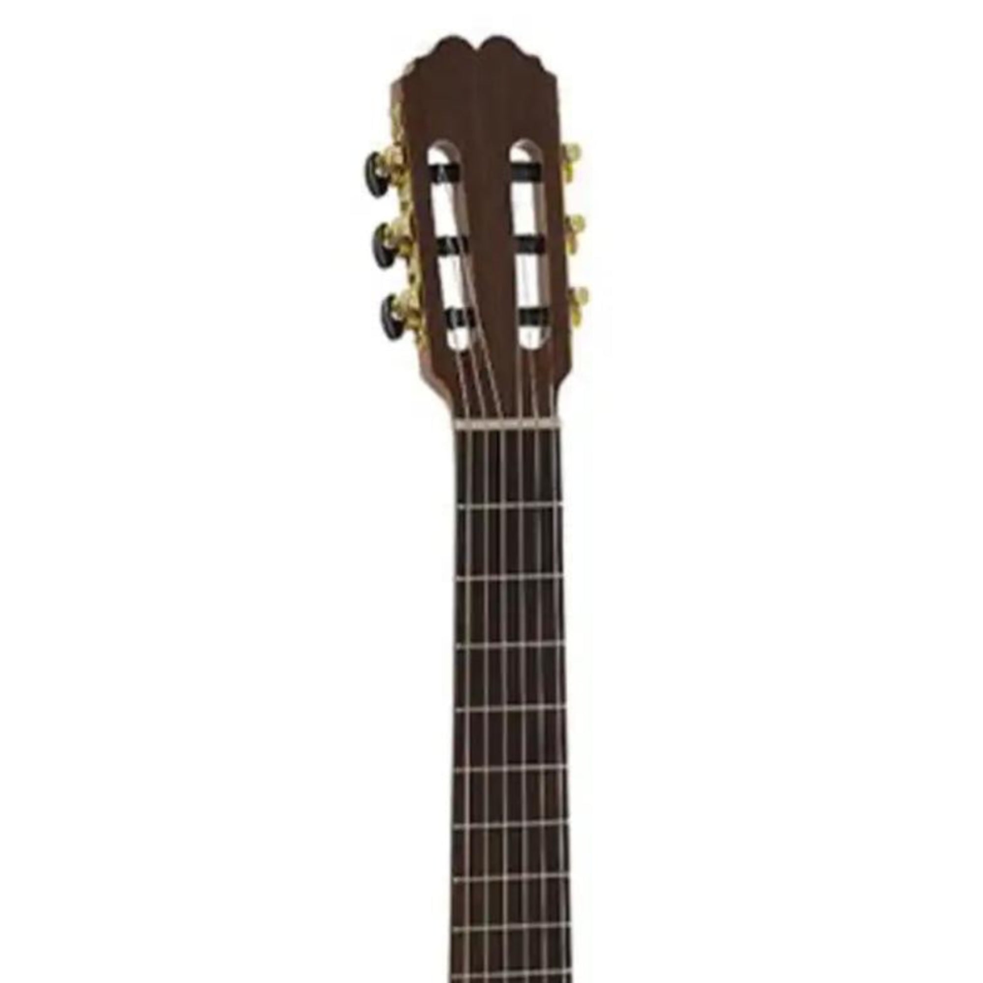 3_17340132-c62d-4bdf-ad9b-7082470ccac1 | Terry Carter Music Store