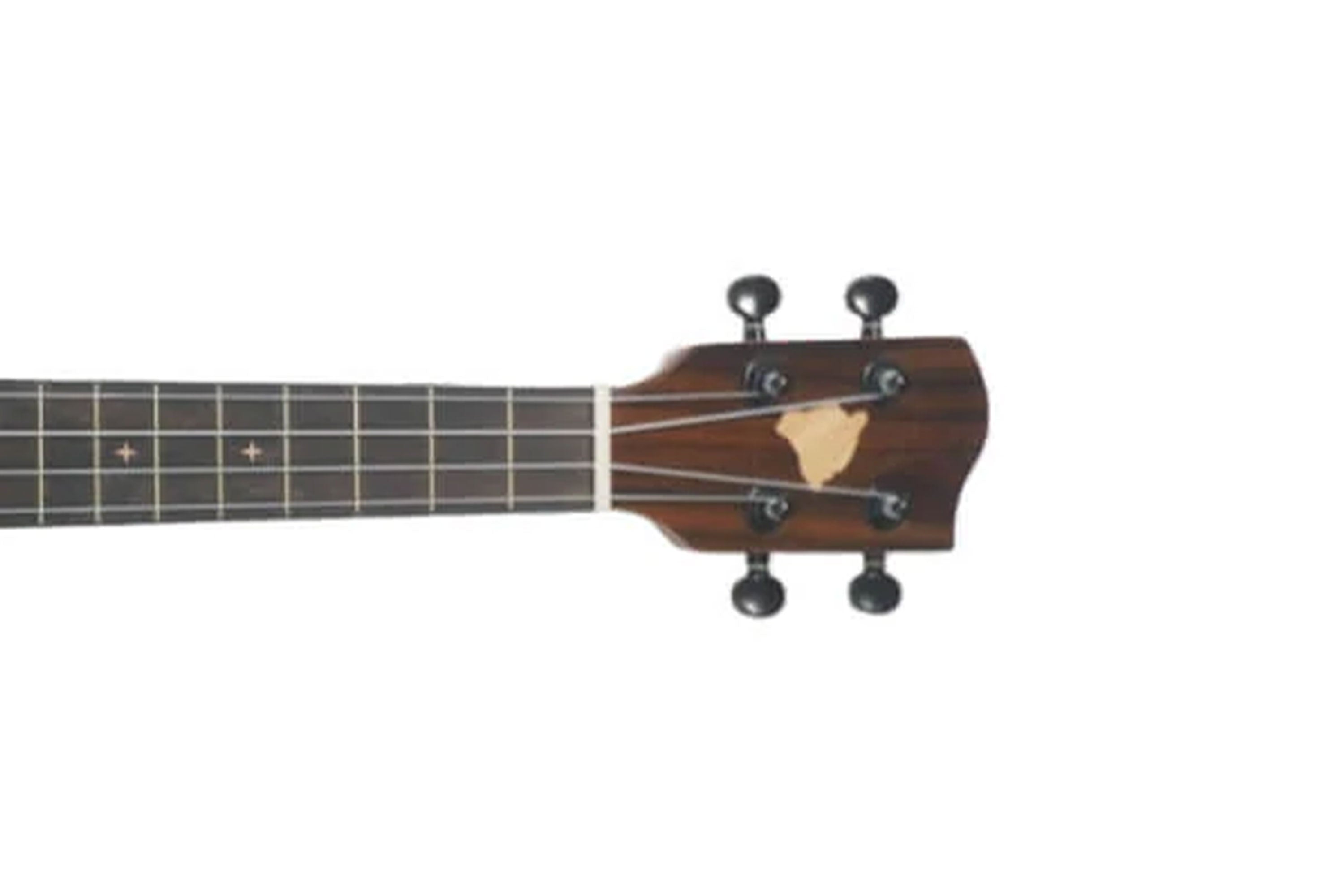 HUG SCR-PTG Concert Ukulele