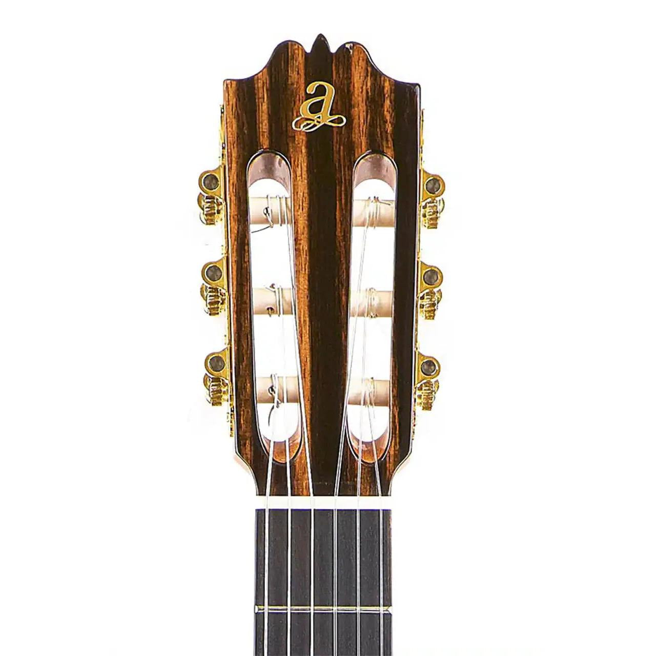 3_339d07bc-1a9f-42cc-a706-bc8ffec982ed | Terry Carter Music Store