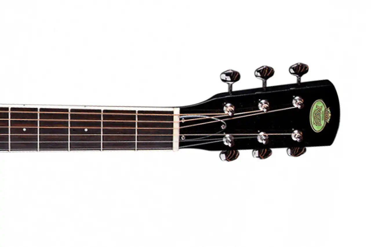 3_5fdd81a8-04a4-456f-a1e1-35bca24c2ae4 | Terry Carter Music Store