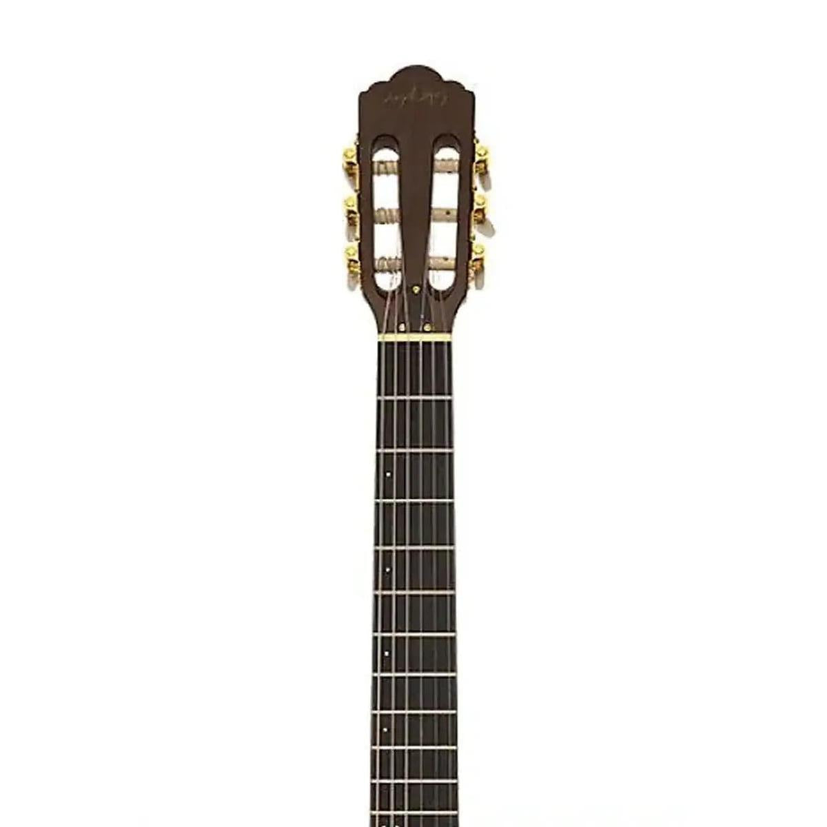 3_788f86da-cd8c-4de3-b48d-65da96db40bf | Terry Carter Music Store
