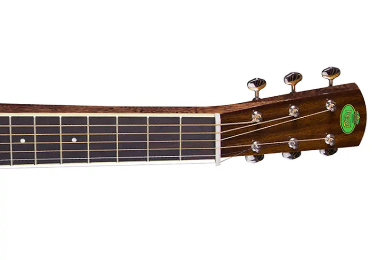 3_7fb27480-392a-4588-879b-51ab725883cb | Terry Carter Music Store