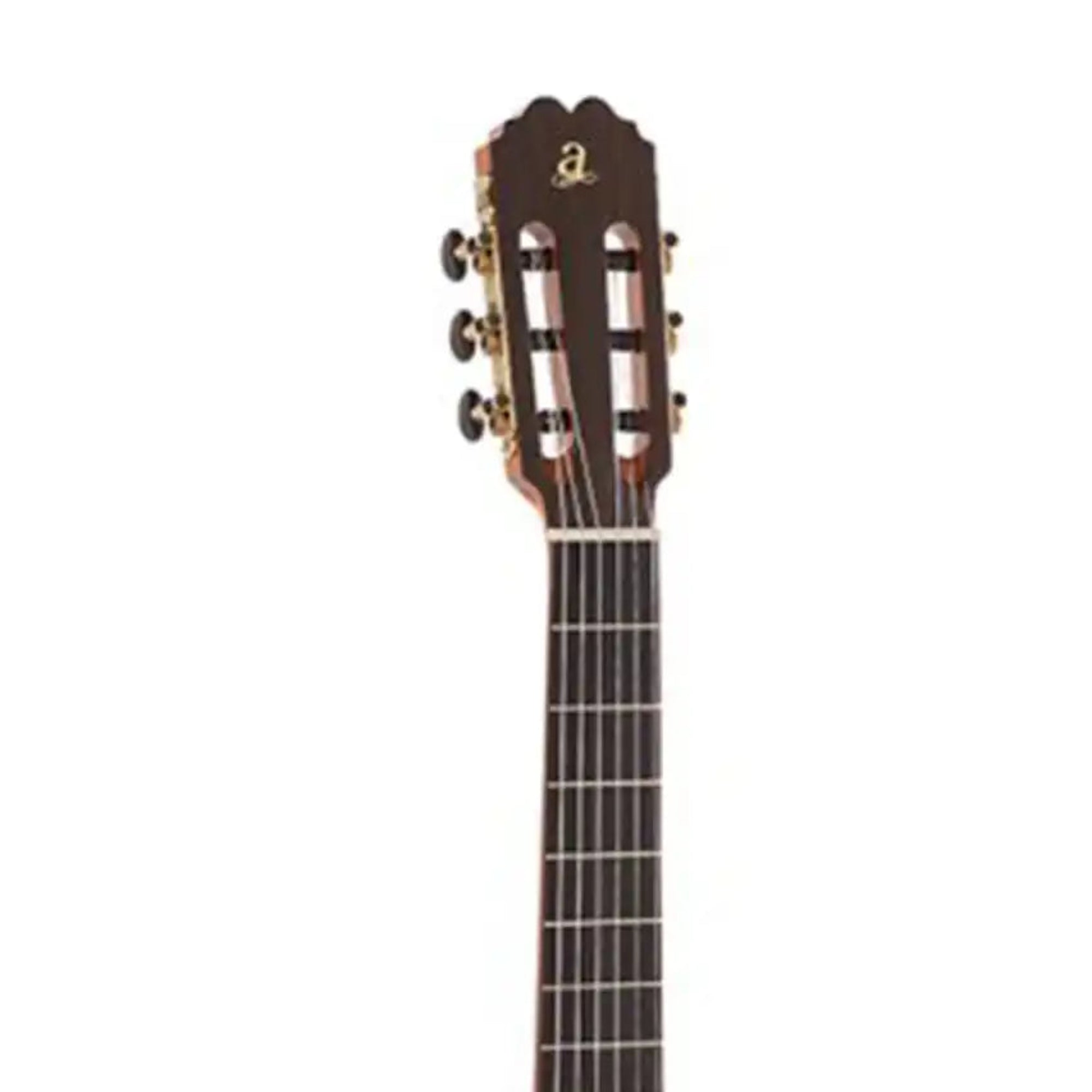 3_a11636bc-156c-4d38-9313-1cf37ec7672b | Terry Carter Music Store