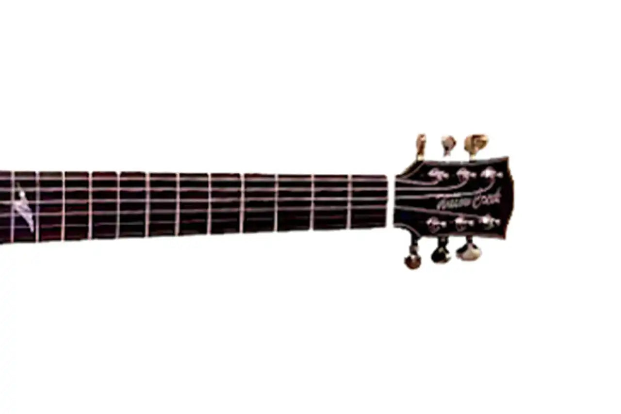 3_ba8c94b6-933e-479a-9fda-4722264c8e49 | Terry Carter Music Store