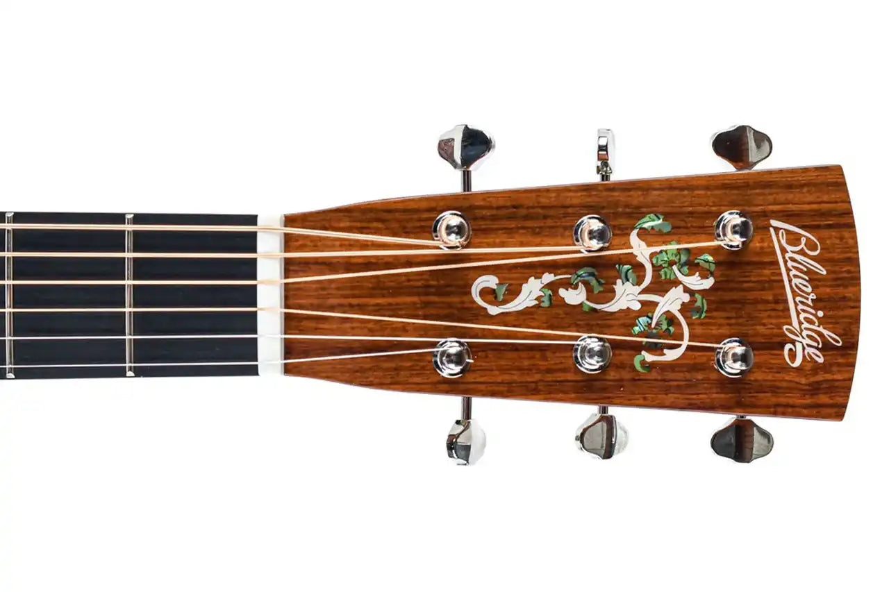 3_be14abfc-d2db-493e-8718-cae51ce697ef | Terry Carter Music Store