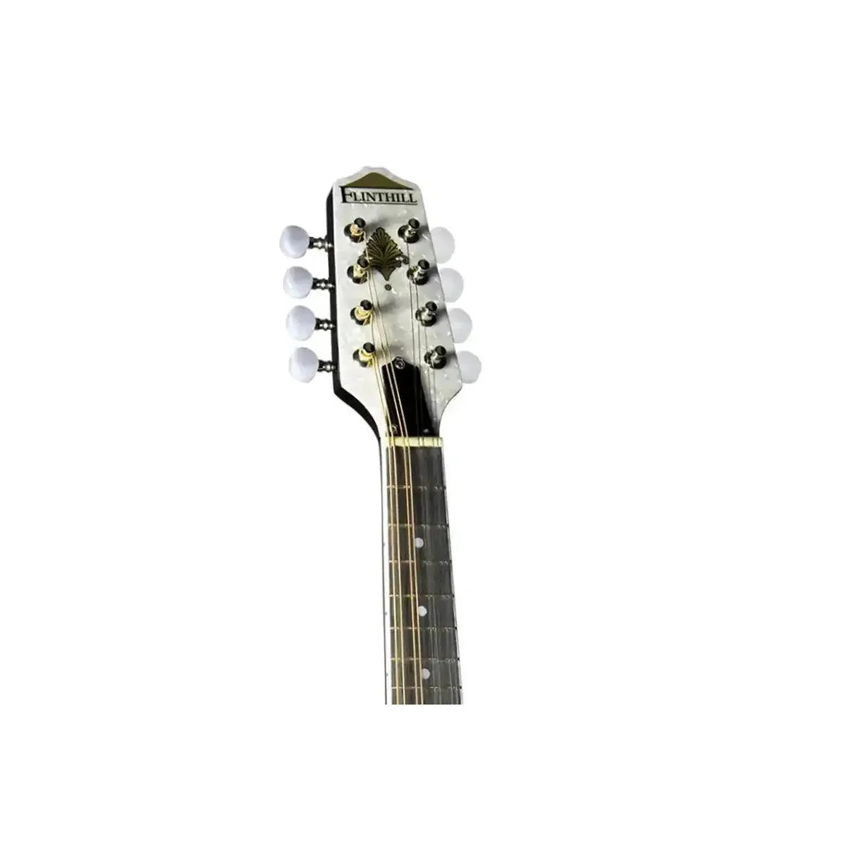 3_bebcacf1-850d-4b75-aaf9-43ef5480badf | Terry Carter Music Store