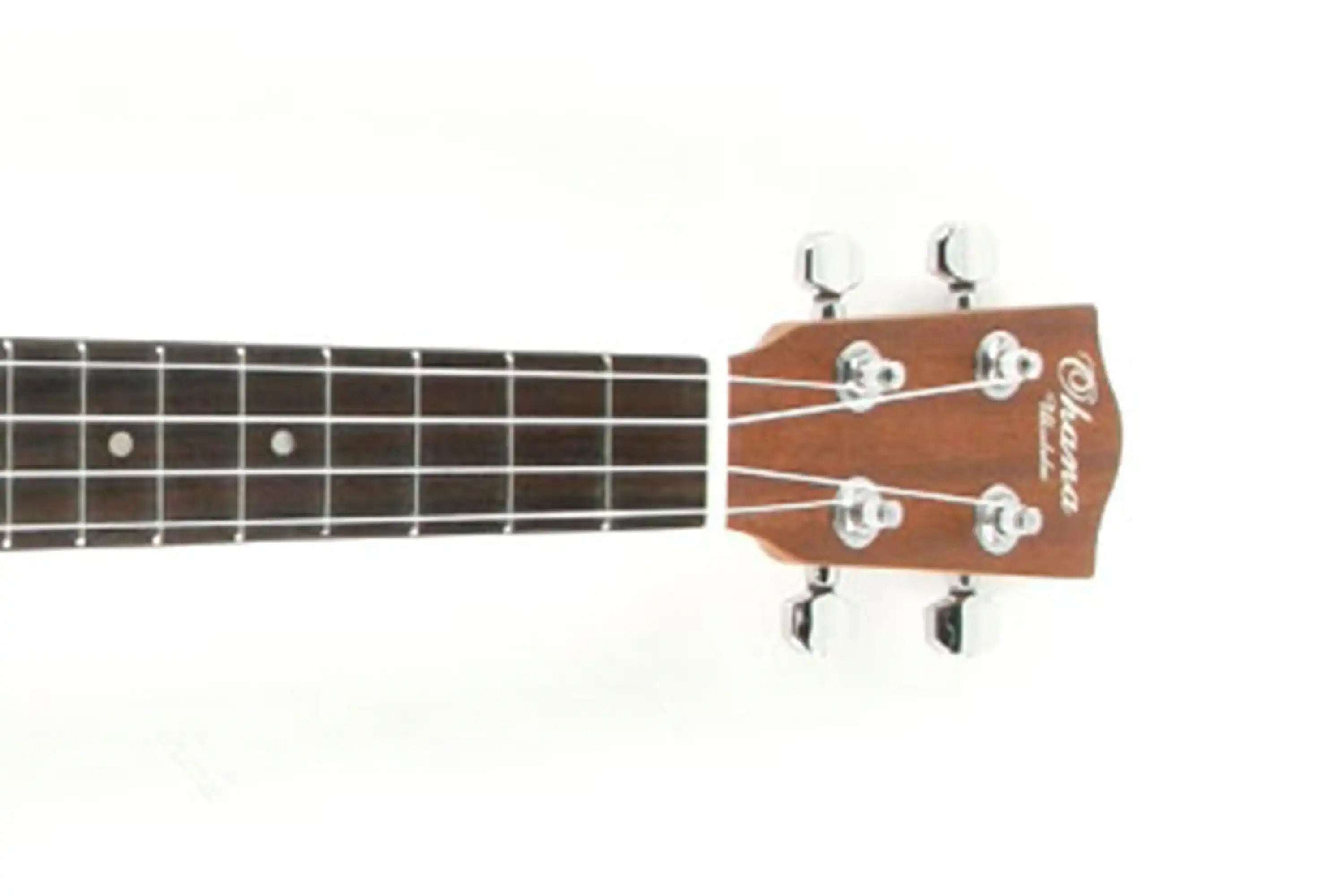 3_d7a20b39-e6d8-4886-a3ef-02cf3dde8a68 | Terry Carter Music Store