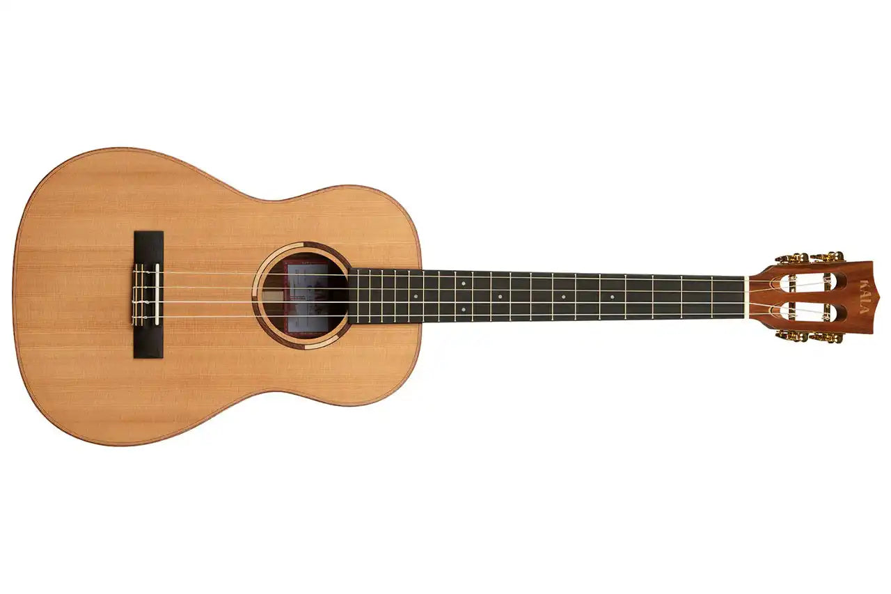 3_ee063868-80c5-4b12-b50f-786b7312d626 | Terry Carter Music Store