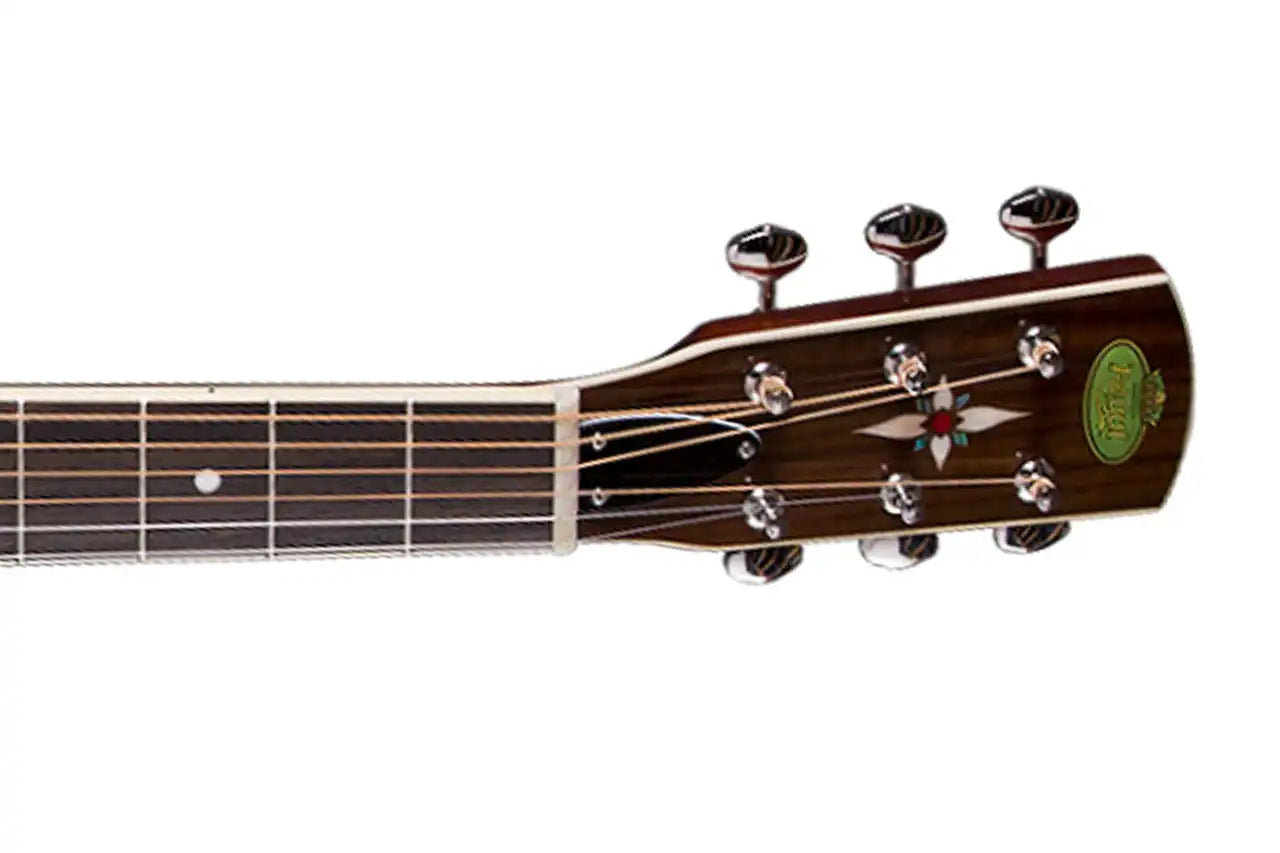 3_f26b036e-2ec8-4e8f-856b-c5f665e308b4 | Terry Carter Music Store