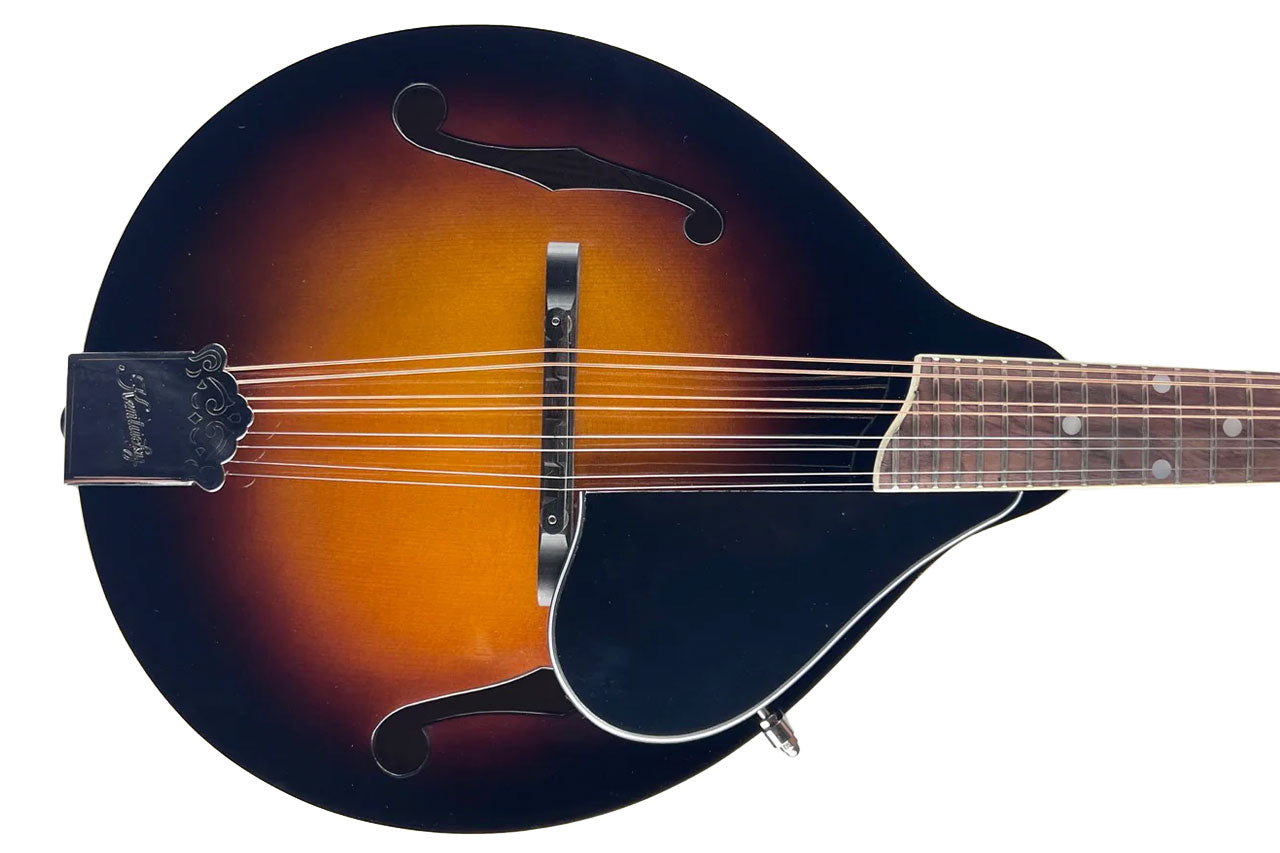 3_f43d0707-ff65-4d85-911f-f9f9bf5fe28c | Terry Carter Music Store