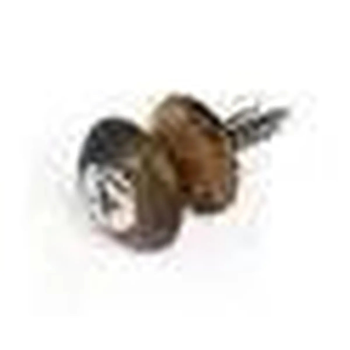 4974-sb-1-1000 | Terry Carter Music Store