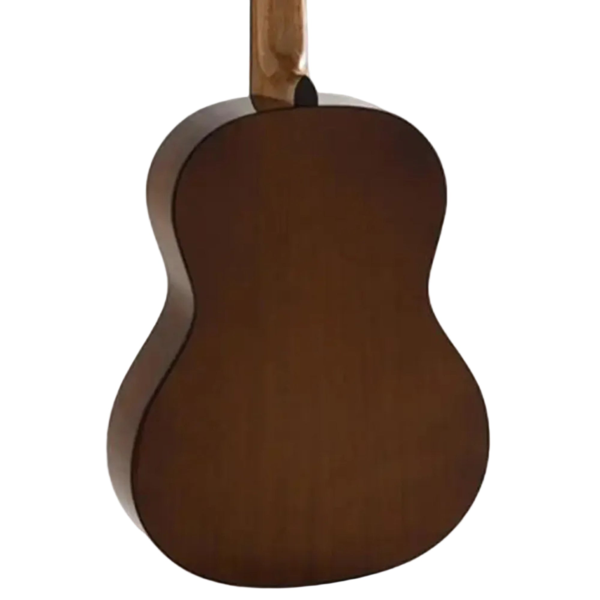 4_0ee188d8-52cf-4a49-8d33-48d372326612 | Terry Carter Music Store