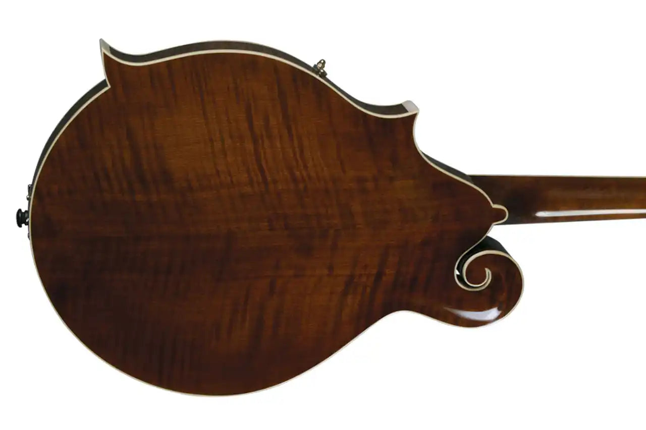 4_12ee2ffb-f027-4a7a-8b84-0c606151cc72 | Terry Carter Music Store