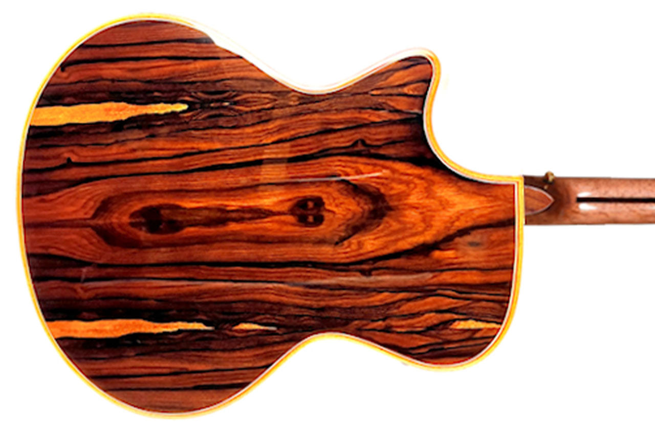 Willow Creek FX-PG9Z+BT Grand Auditorium Guitar