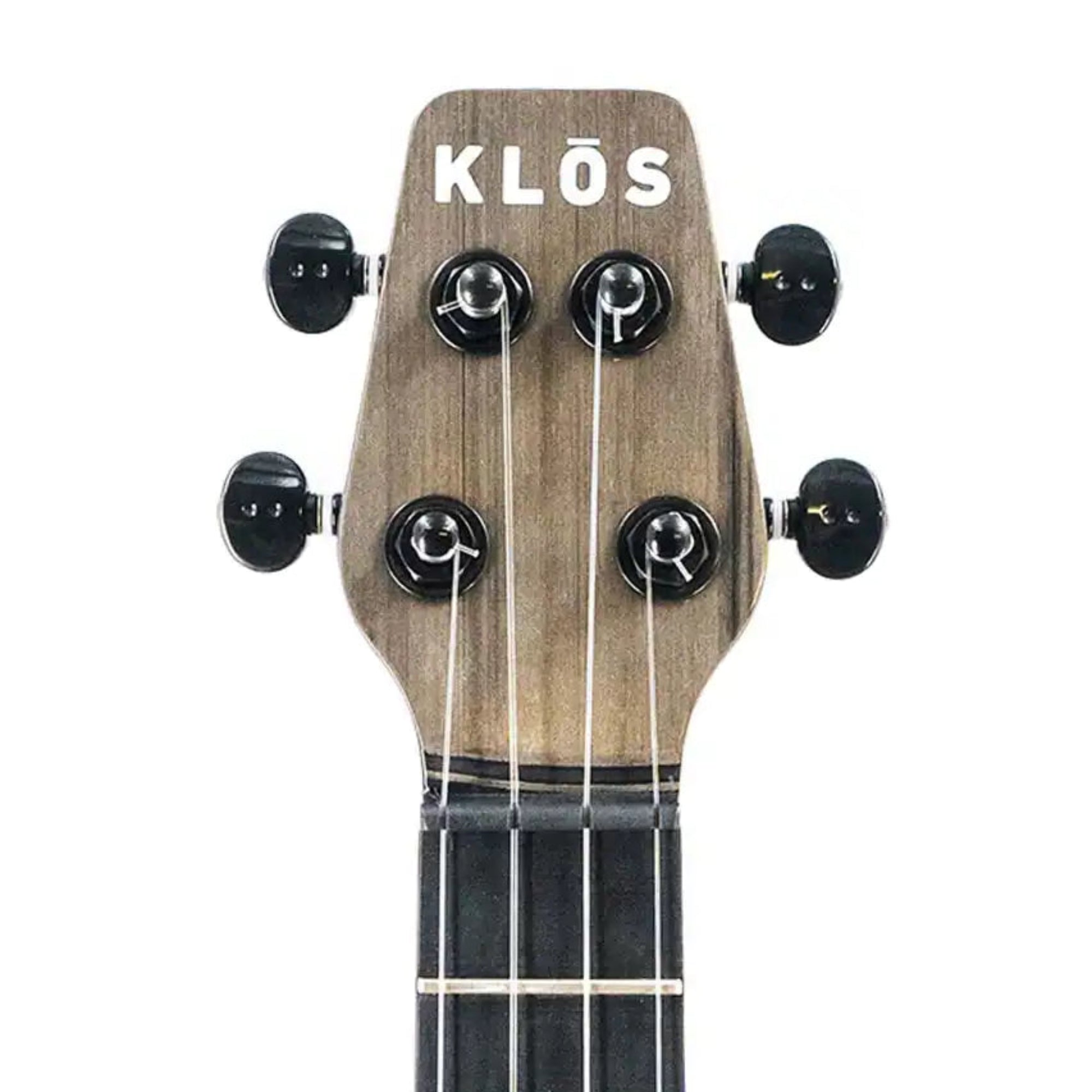 4_1c02a1ab-d538-447f-8b8c-186e3d9dbf72 | Terry Carter Music Store