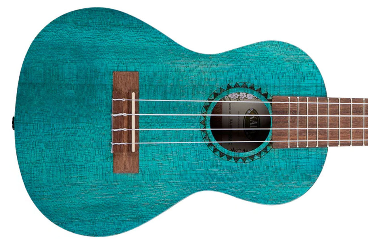 4_28805303-c6b6-4fa2-a2ec-87f442058c60 | Terry Carter Music Store