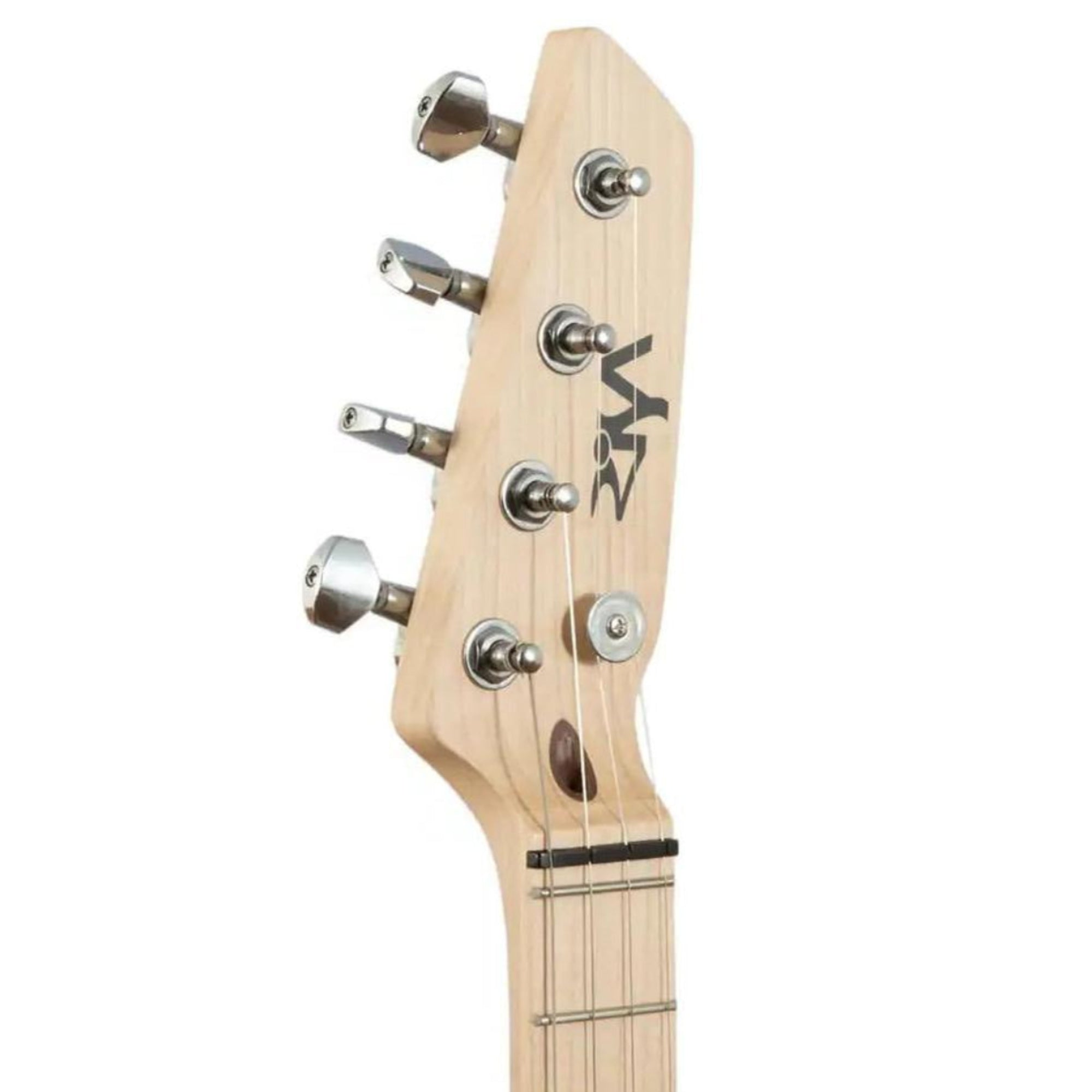 4_2ac30d67-cbb0-4464-954d-802850ff9ffd | Terry Carter Music Store