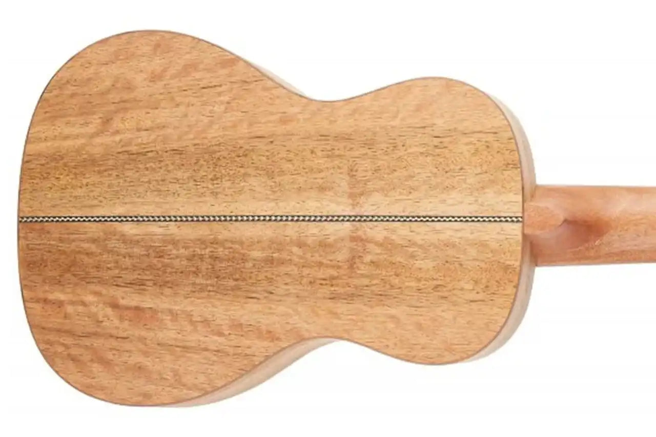 4_2b2eb0a9-f336-4776-87f8-5953ba0497e5 | Terry Carter Music Store