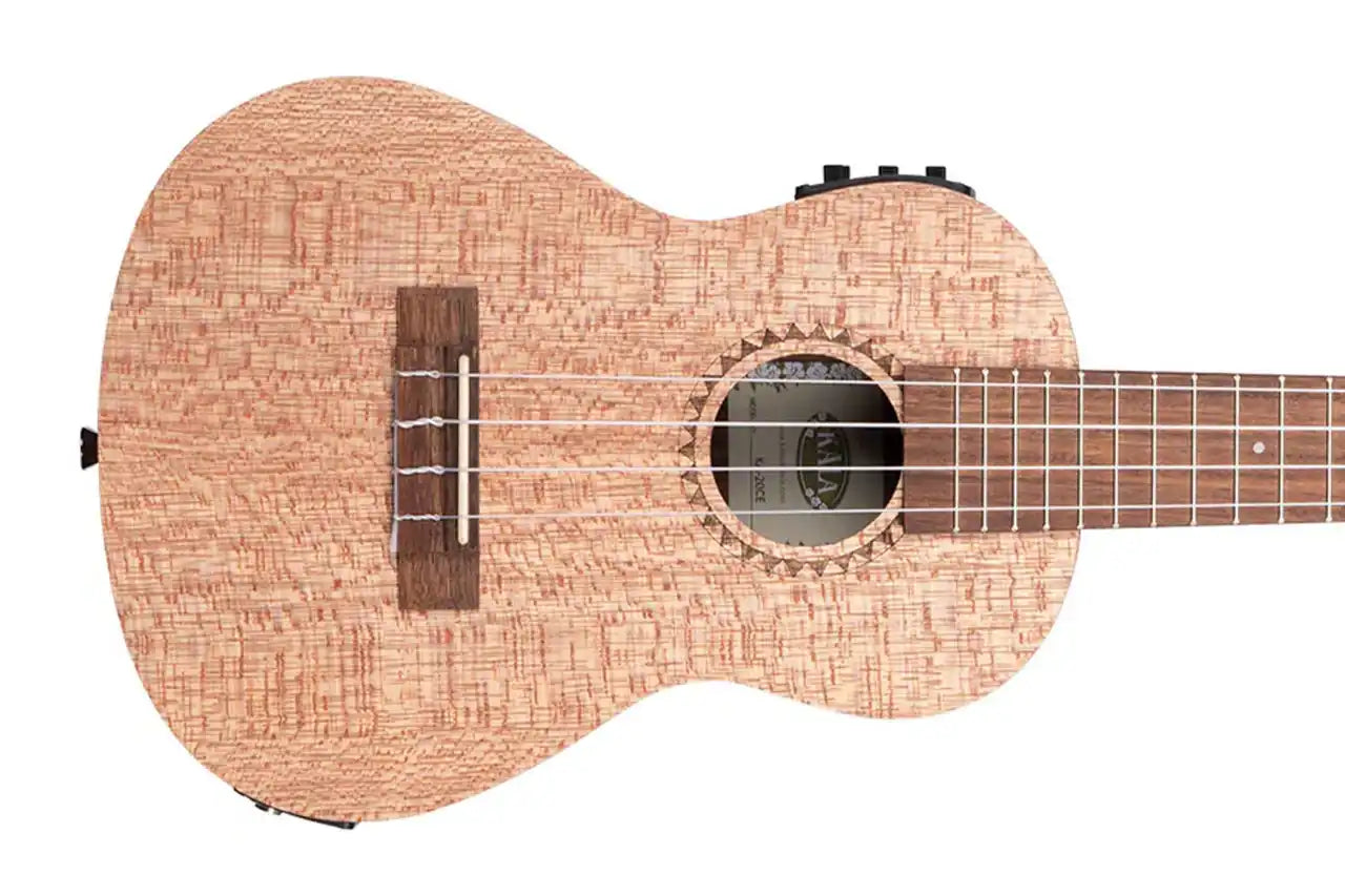 4_2d6770a3-78e8-4ea3-9383-9cb9555a5e99 | Terry Carter Music Store