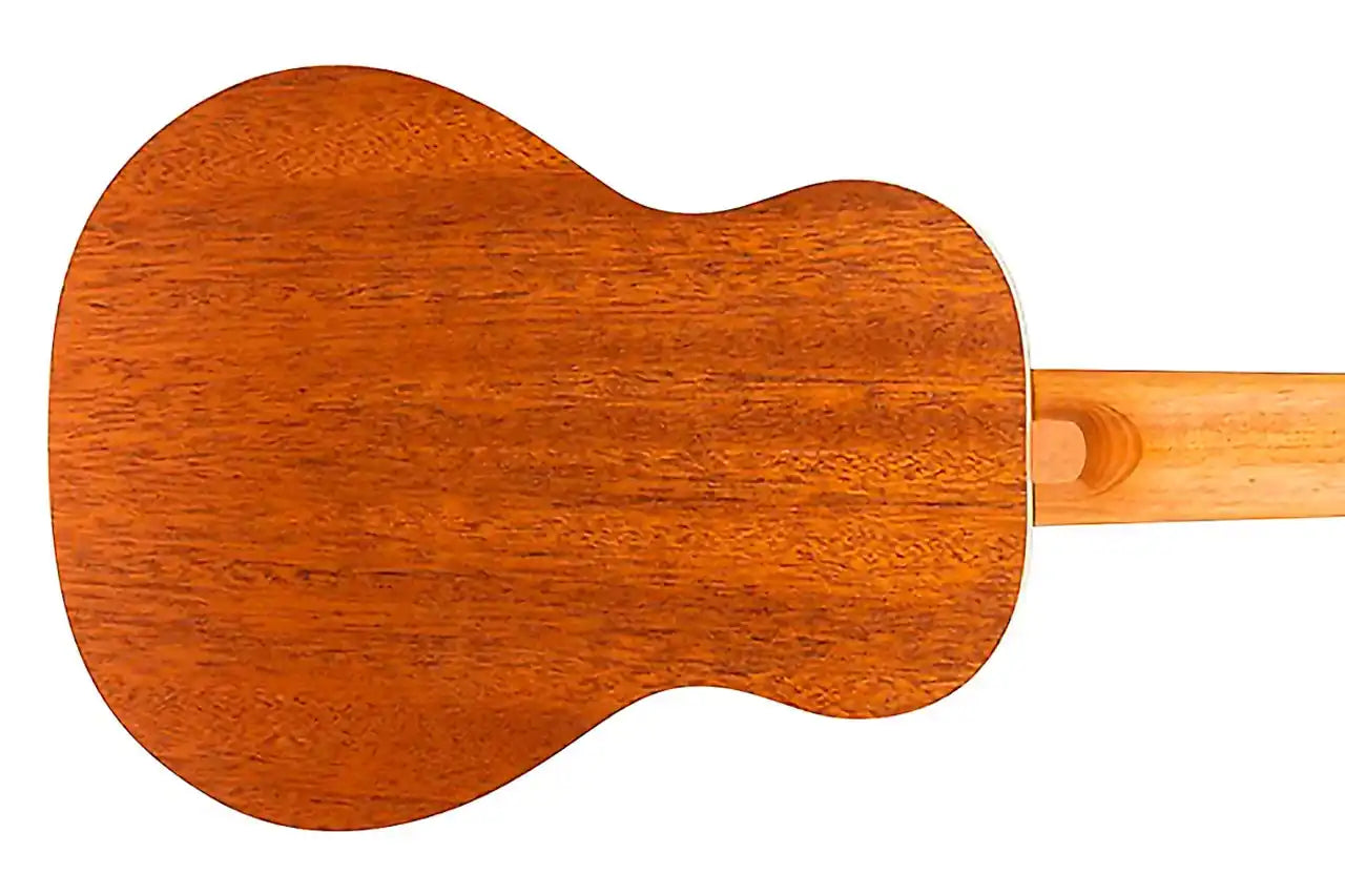 4_3a48f192-44ae-4493-97b5-738e4a156160 | Terry Carter Music Store