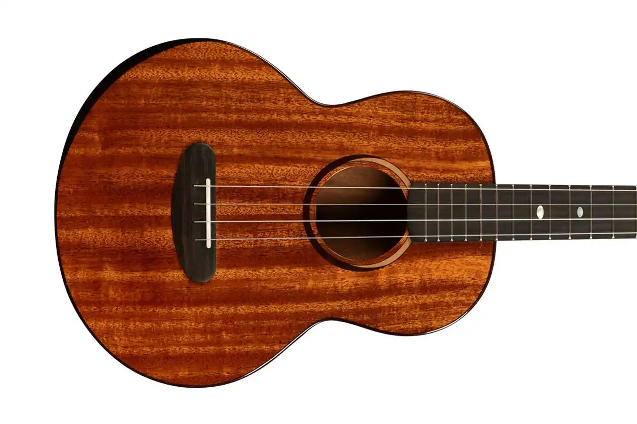 4_3e033b14-b4e4-4f34-8ae7-3734f4f5d907 | Terry Carter Music Store