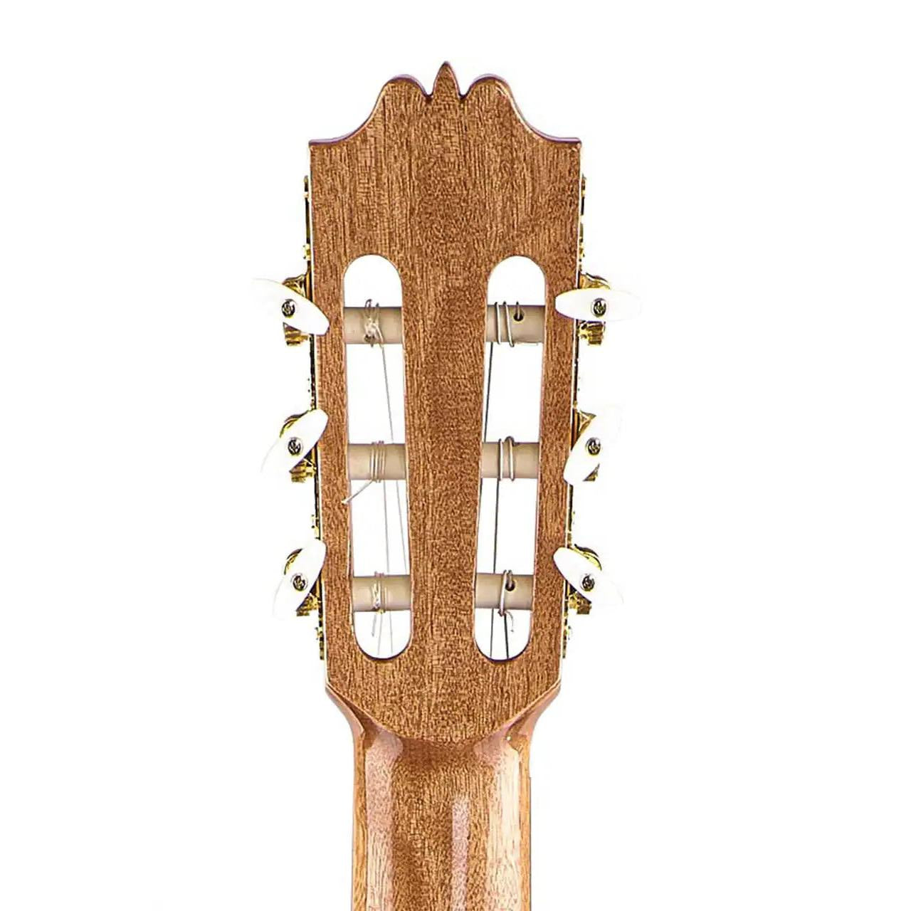 4_4c1fdc33-6c27-4f57-828d-6b10e3180e17 | Terry Carter Music Store