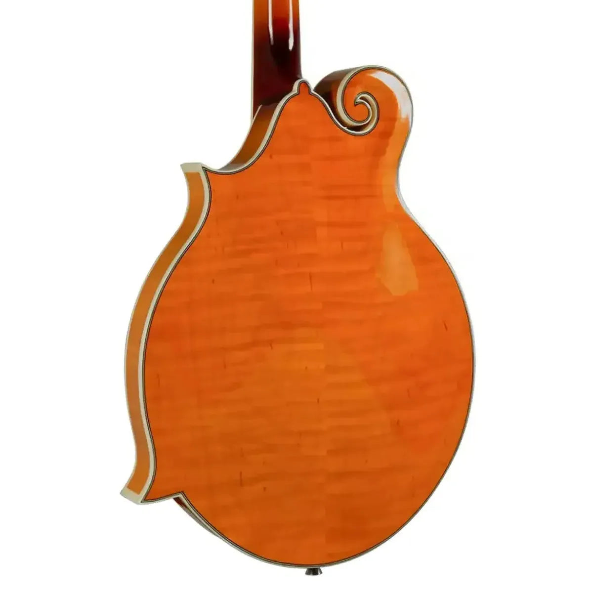 4_5b2f9c25-8176-491c-91d1-87edcdd65ee6 | Terry Carter Music Store