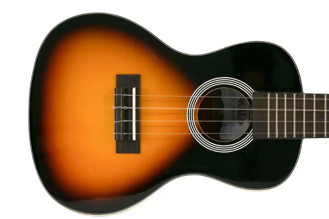 4_63d95b19-8daf-442a-ae9b-32c2d74d5aec | Terry Carter Music Store