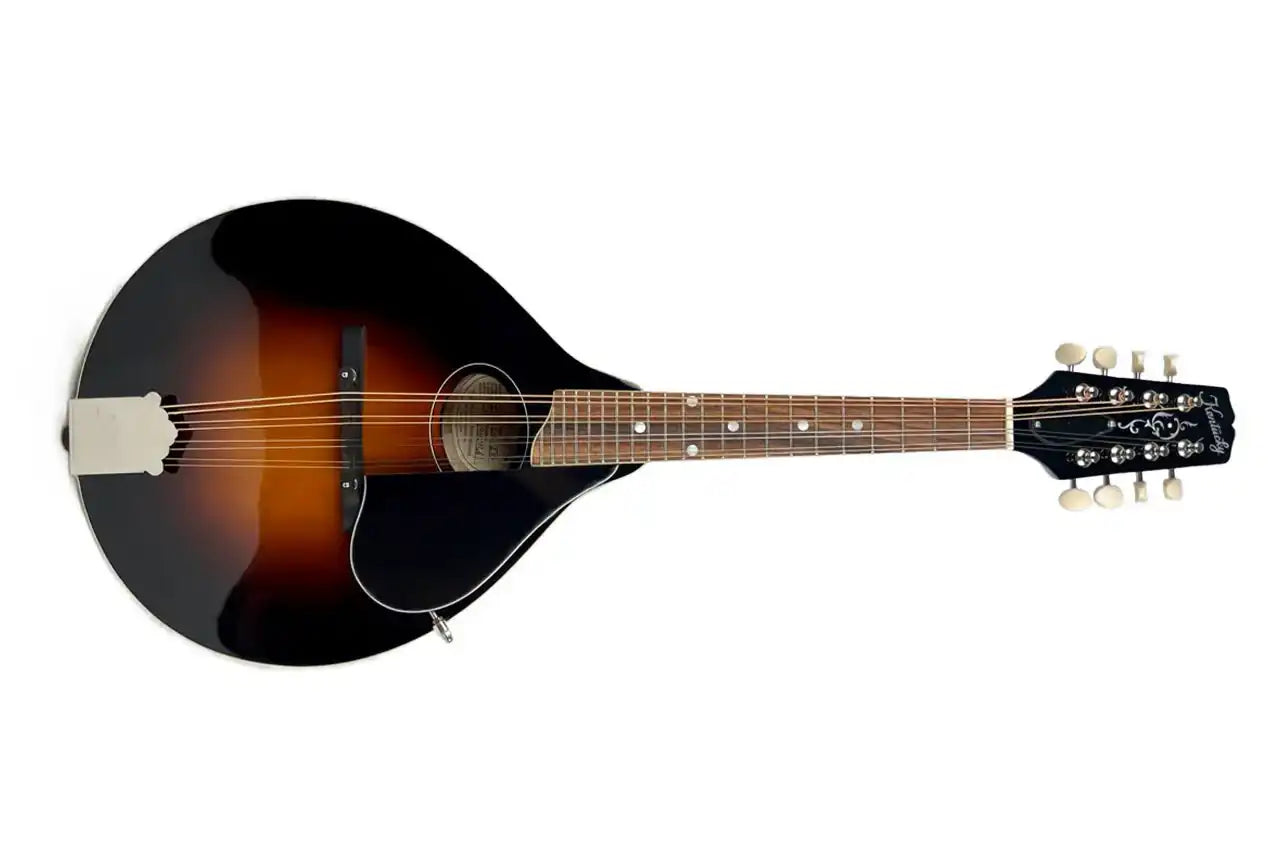 4_6f5fbdfc-ea67-4bd3-8a28-29958a8c17e3 | Terry Carter Music Store