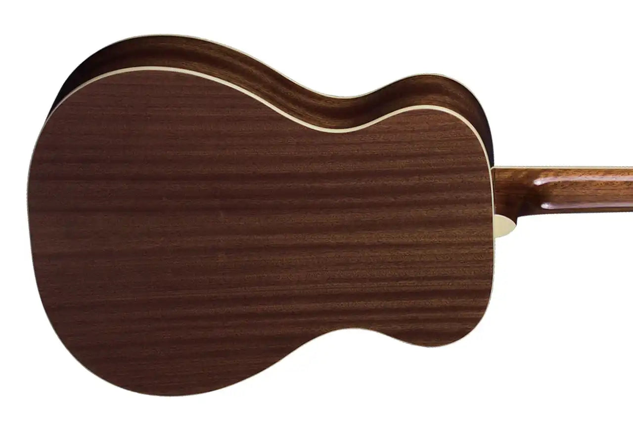 4_7d1a63d8-16a3-4911-af0b-eac3e24314f9 | Terry Carter Music Store