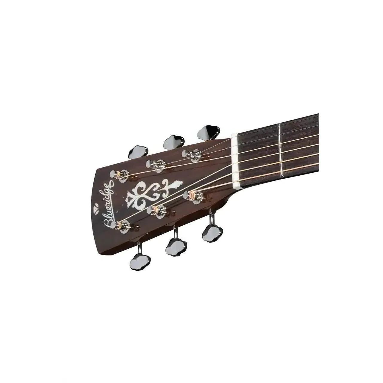 4_92137421-8091-4db1-a752-13dc67e5b4b2 | Terry Carter Music Store