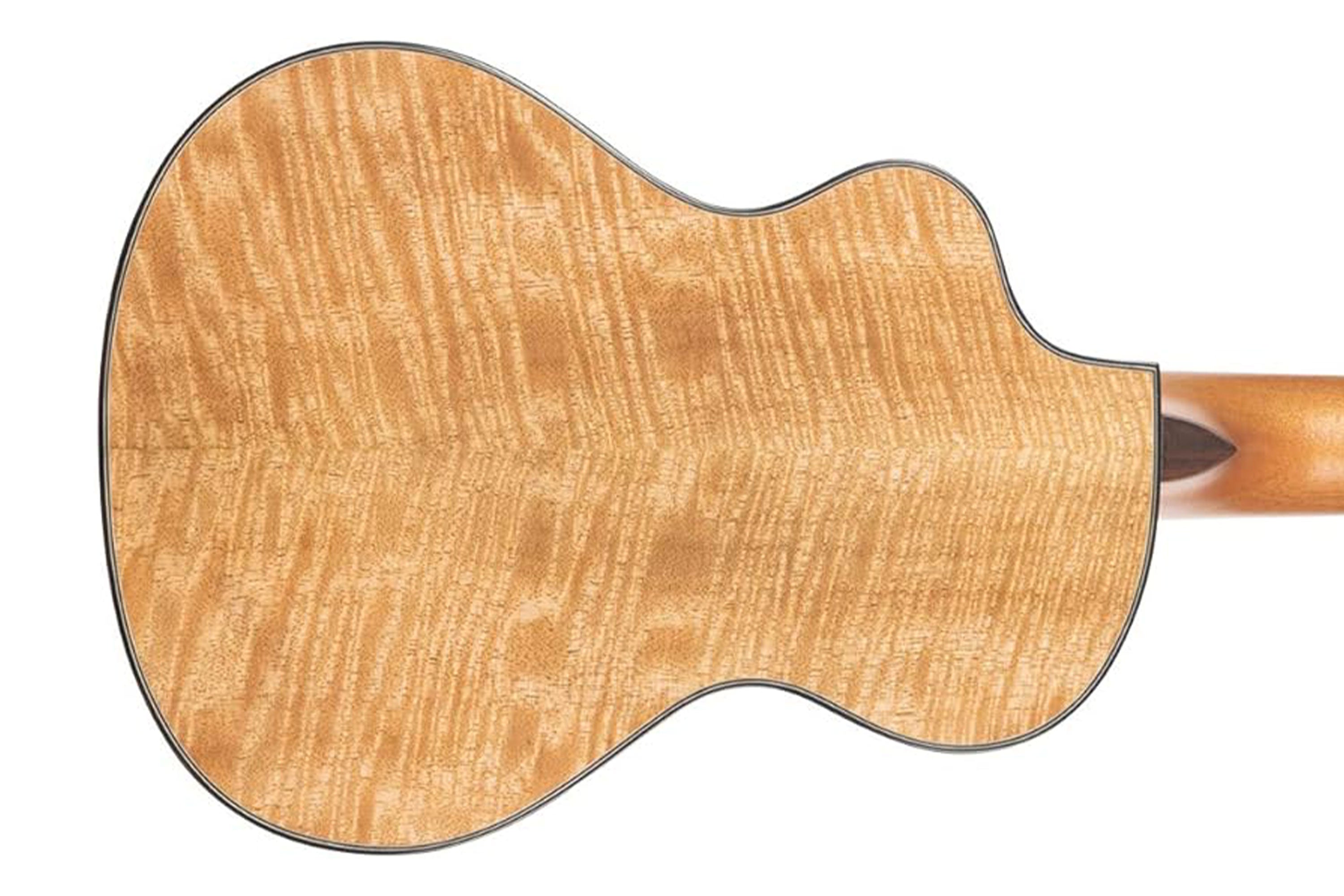 4_a7d45a78-ab46-4b21-8726-b790b6d43fea | Terry Carter Music Store