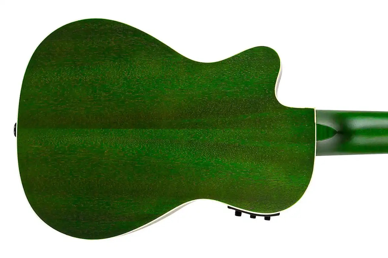 4_acb4ca70-e02b-4916-bf25-5cc39c3a5097 | Terry Carter Music Store