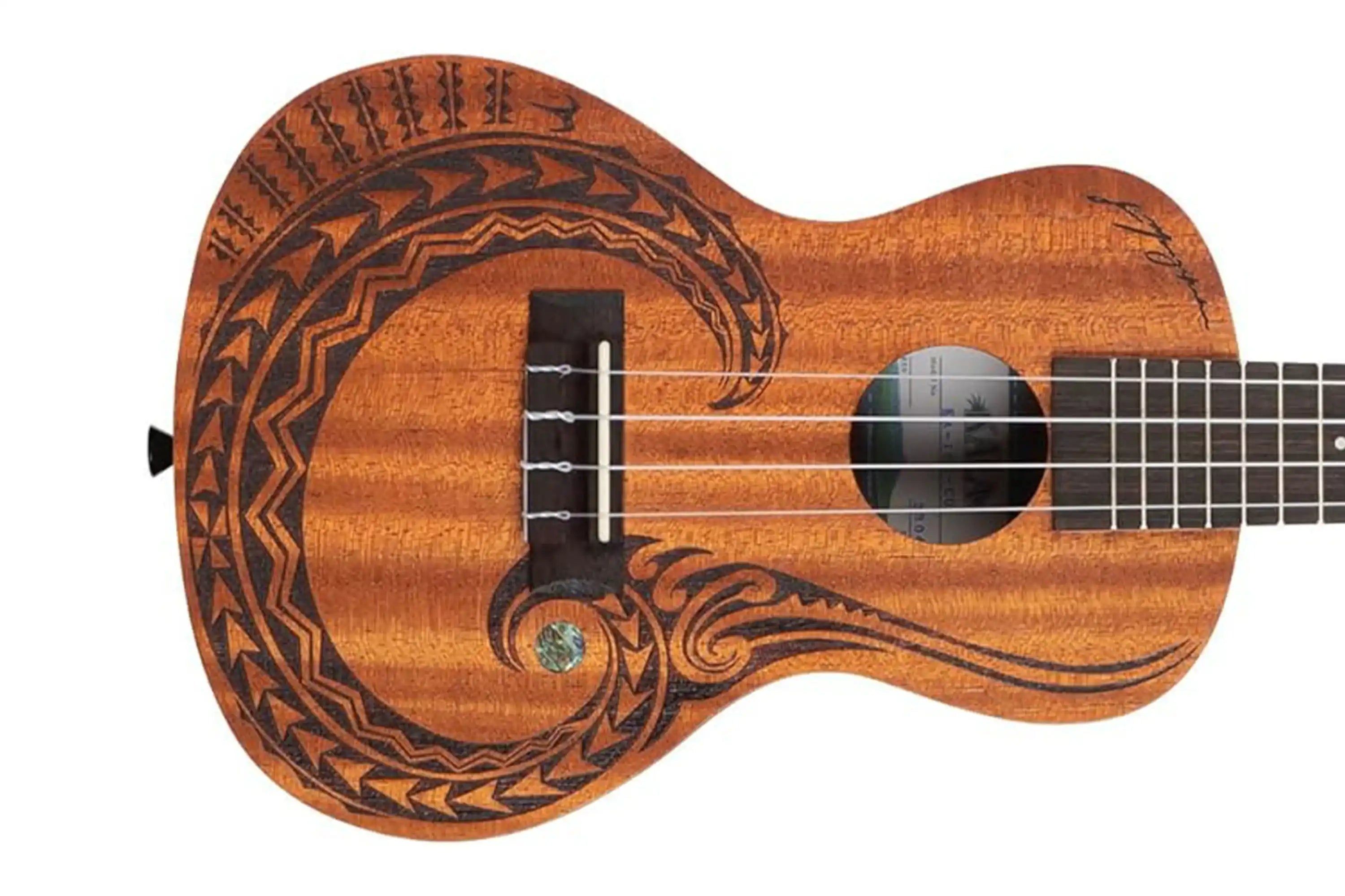 4_b1b810c4-8955-4373-8280-7f409de967e3 | Terry Carter Music Store