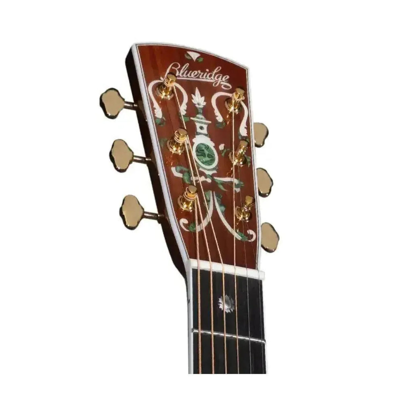 4_c7f21164-e9ae-4a5f-bc7b-a7bc412d248d | Terry Carter Music Store