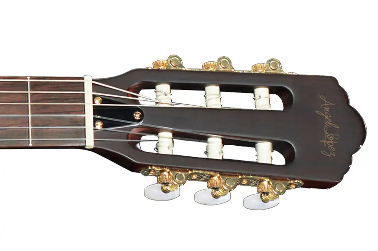 4_ca2b1dc0-4874-40c3-8c65-91a0aa454187 | Terry Carter Music Store