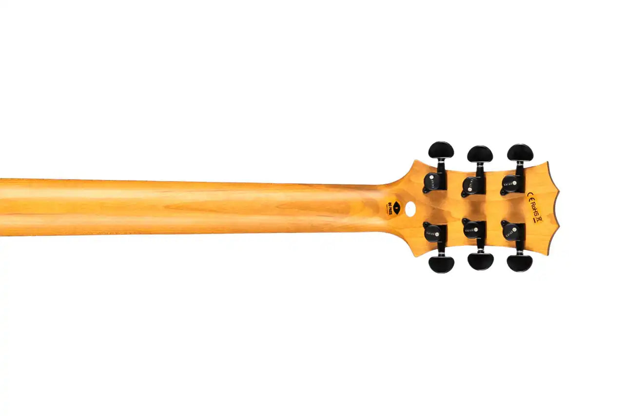 4_fc671f1b-be82-45ee-9ffe-651bd29670db | Terry Carter Music Store