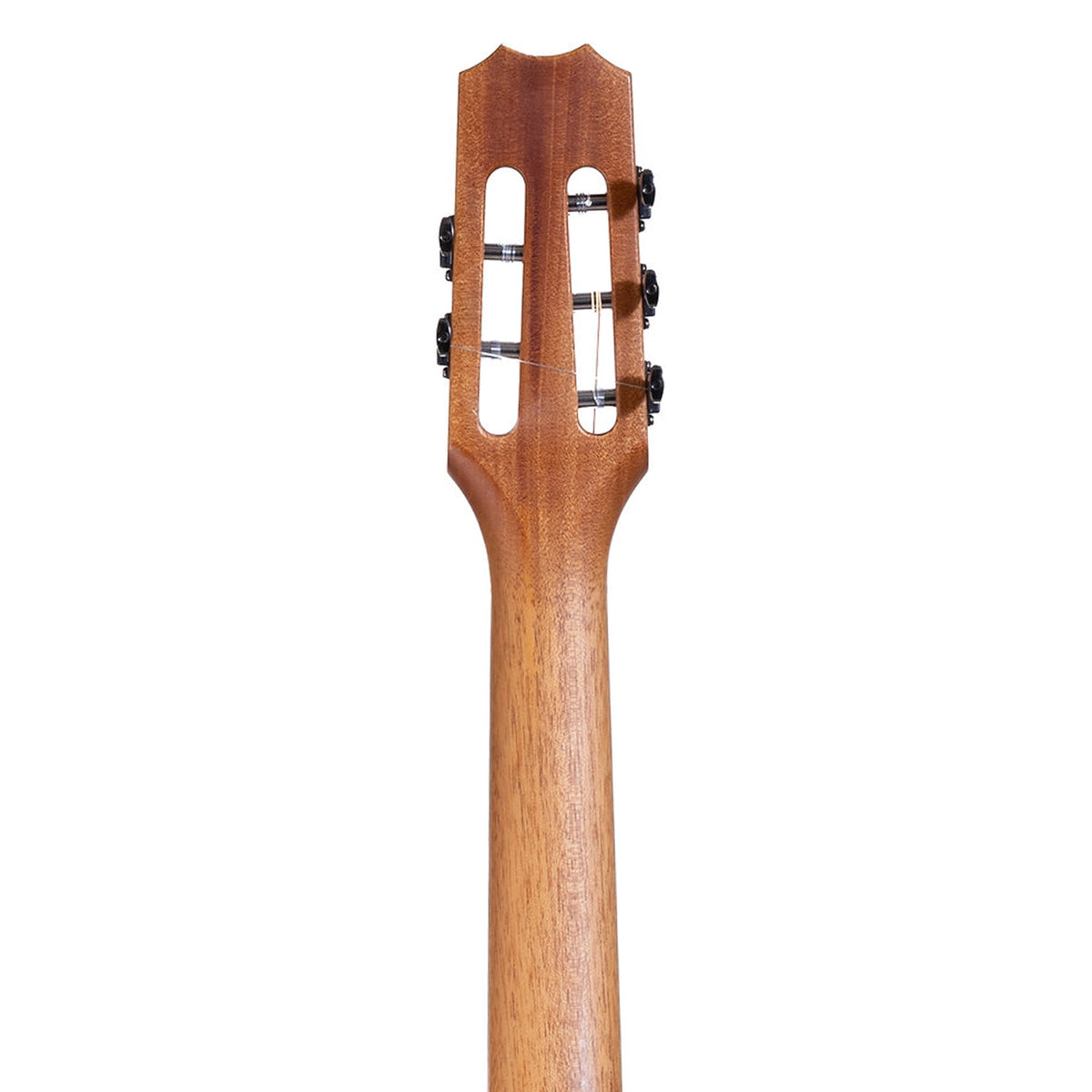 Kanile'a Willie K Premium koa 5-string super tenor ukulele, second back of the headstock and neck