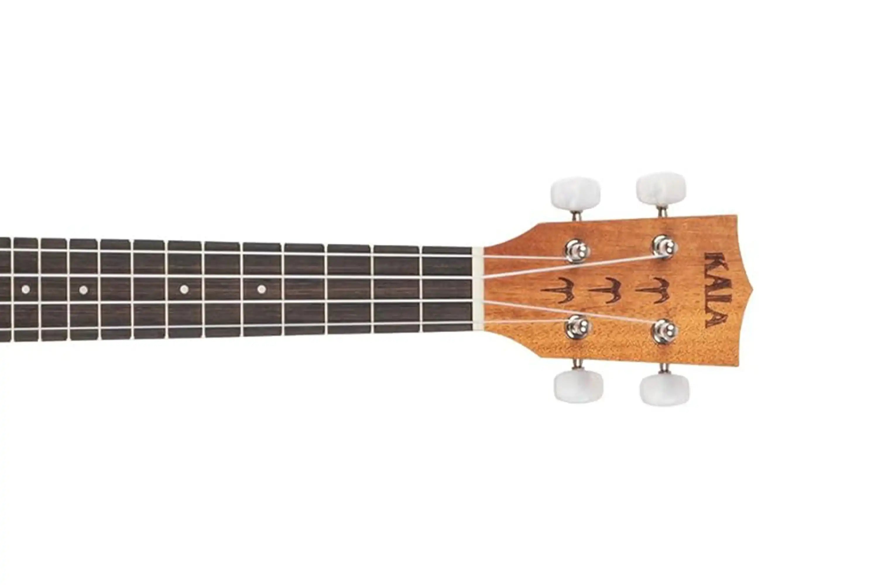 5_15620b4a-1582-4eab-a6c1-c60729fbe059 | Terry Carter Music Store