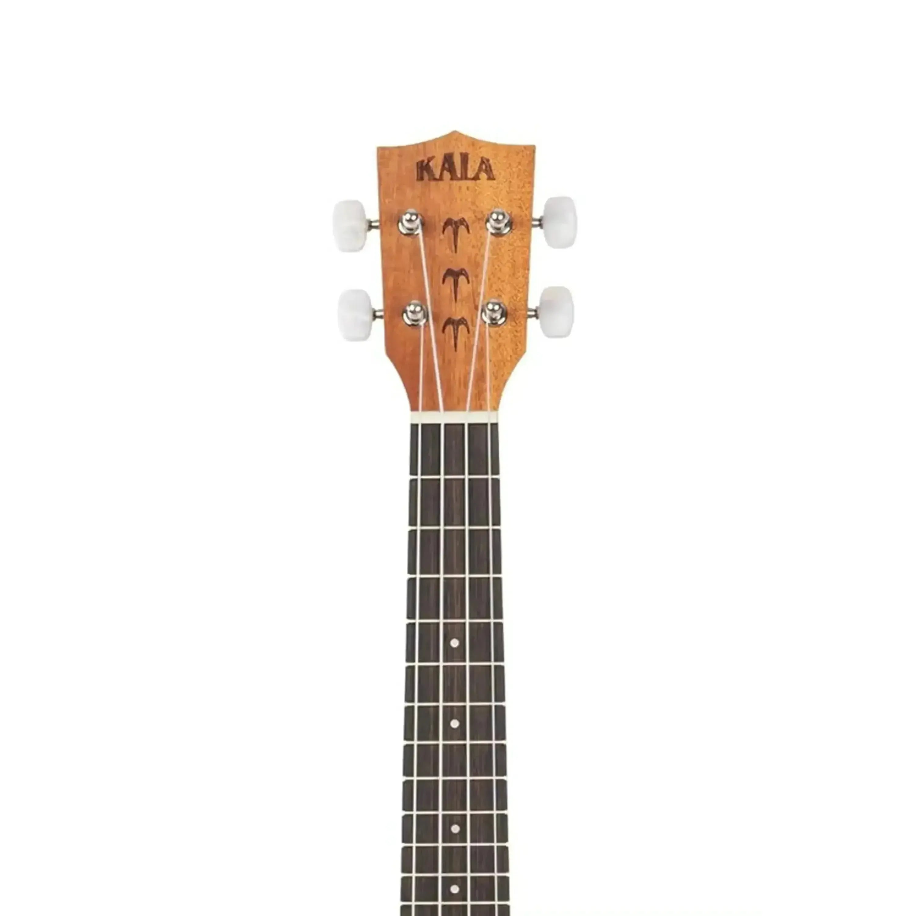 5_15620b4a-1582-4eab-a6c1-c60729fbe059 | Terry Carter Music Store