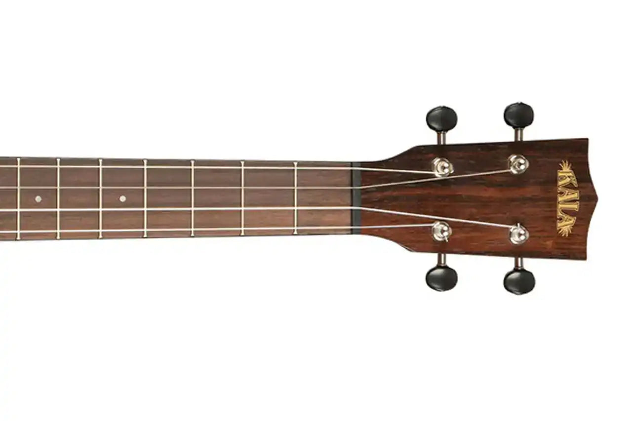 5_1931eb93-0433-4cd0-b00b-0b906267dfef | Terry Carter Music Store