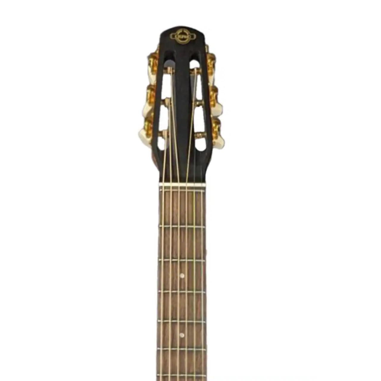 5_1ea39b05-ab40-44b6-ac91-588aa9188f3a | Terry Carter Music Store