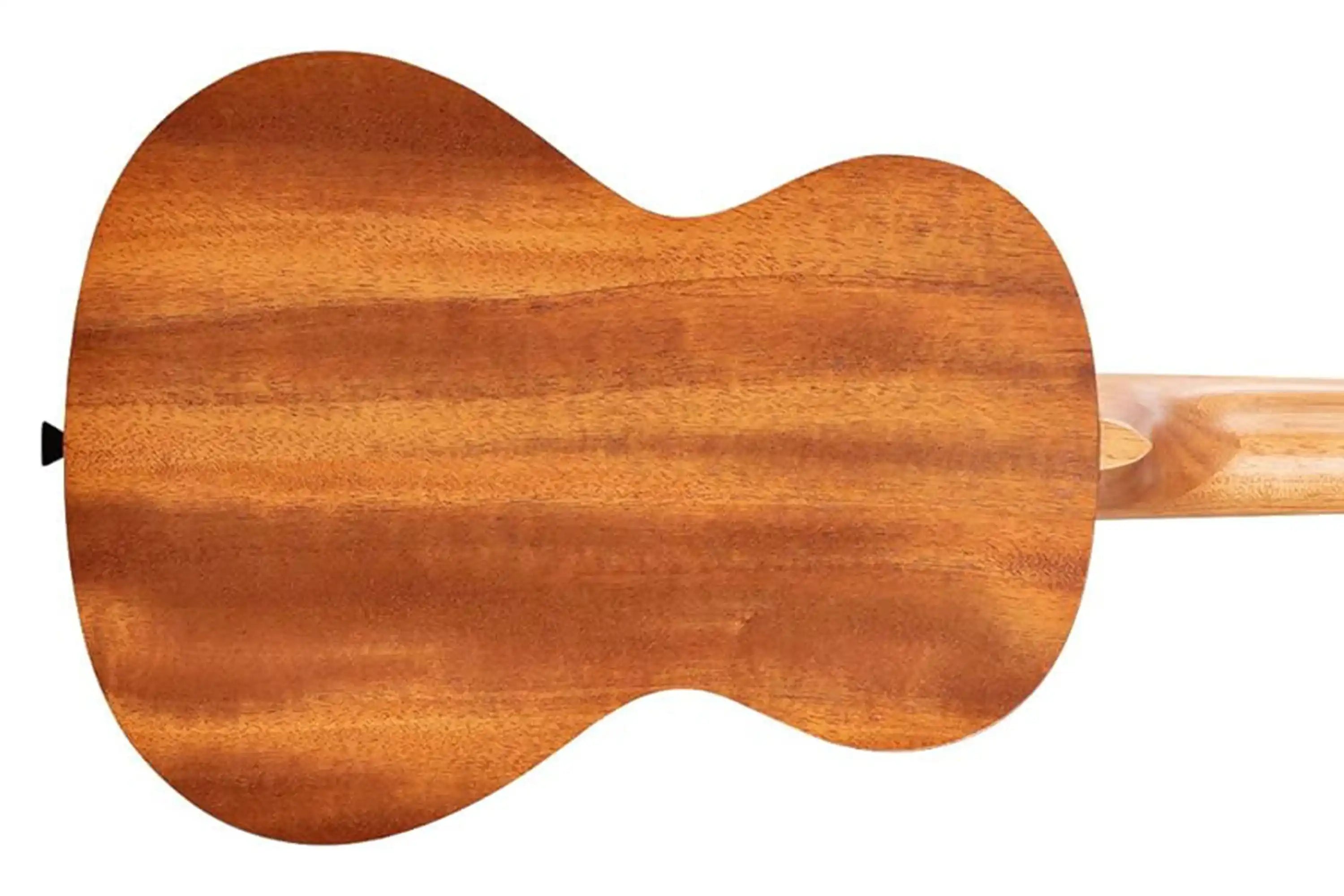 5_22c0611f-91a4-467b-9959-cf8c7090fd5b | Terry Carter Music Store