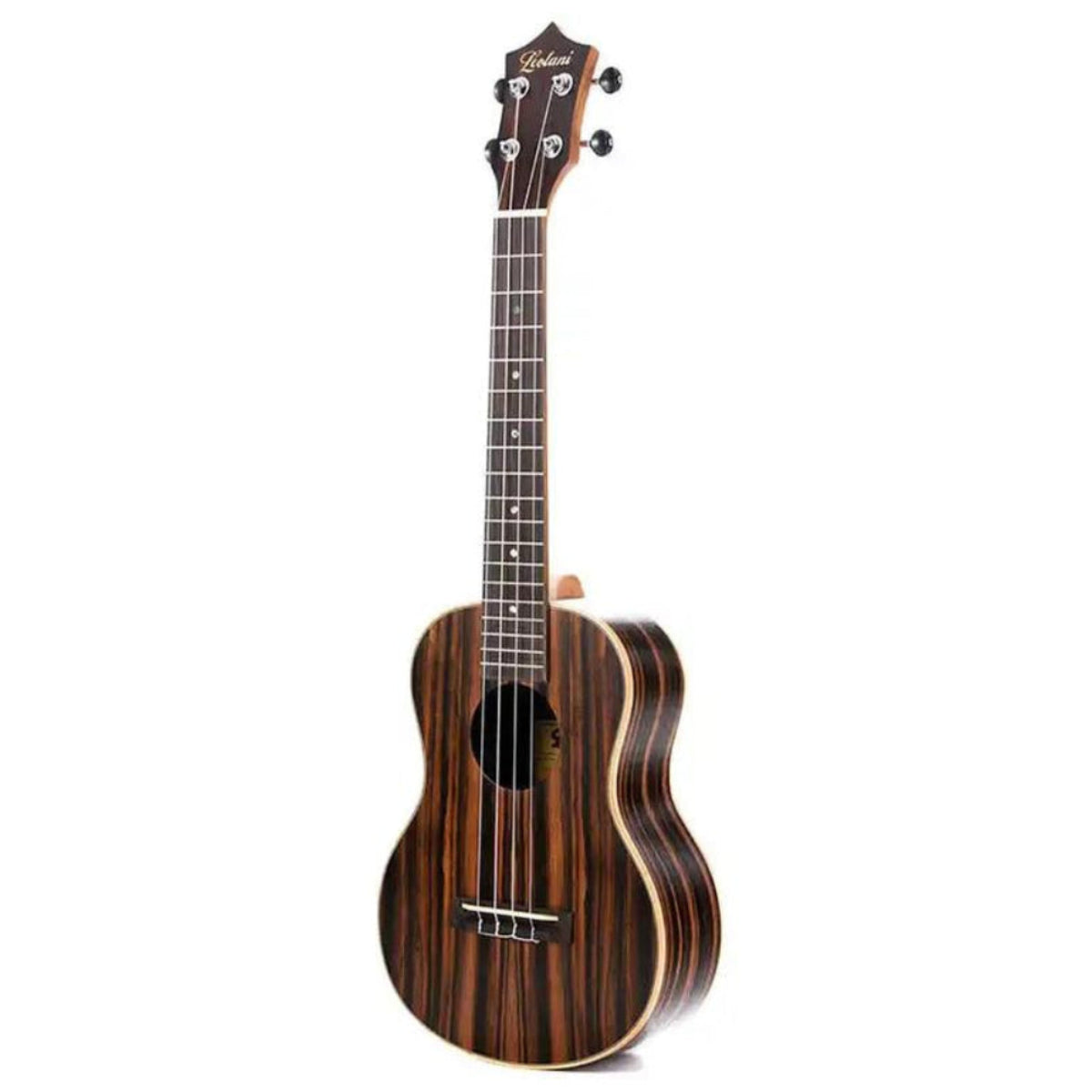 5_30c8fcec-81a3-4042-91b9-d1d39b5791aa | Terry Carter Music Store